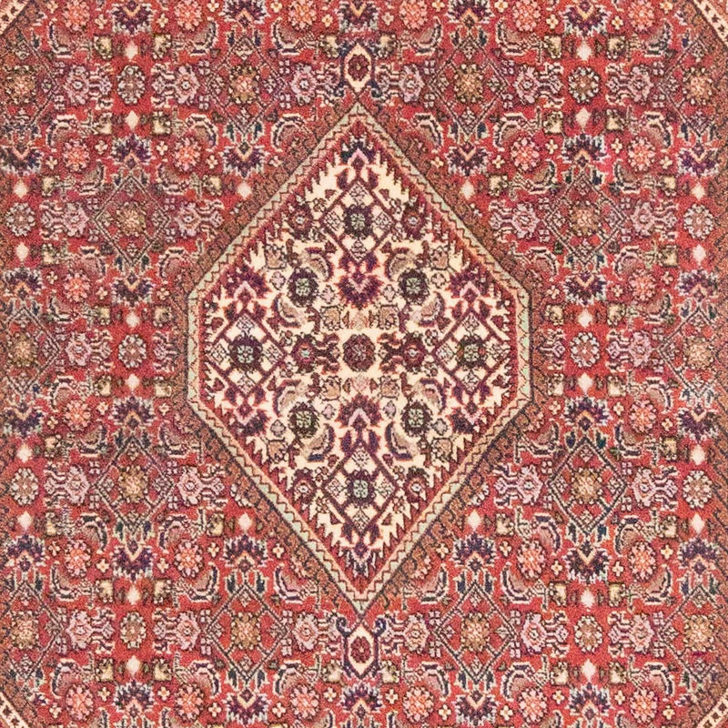 Bidjar - Zanjan Teppich 108x184cm - Perserteppich - rost