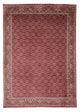 Bidjar Teppich 246x350cm - Perserteppich - rot