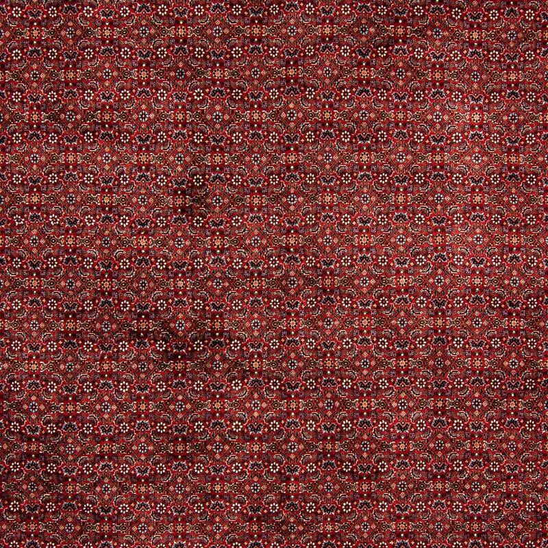 Bidjar Teppich 299x392cm - Perserteppich - dunkelrot