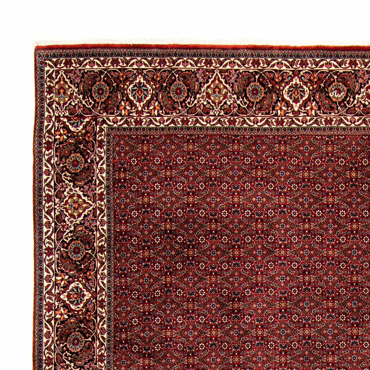 Bidjar Teppich 299x392cm - Perserteppich - dunkelrot