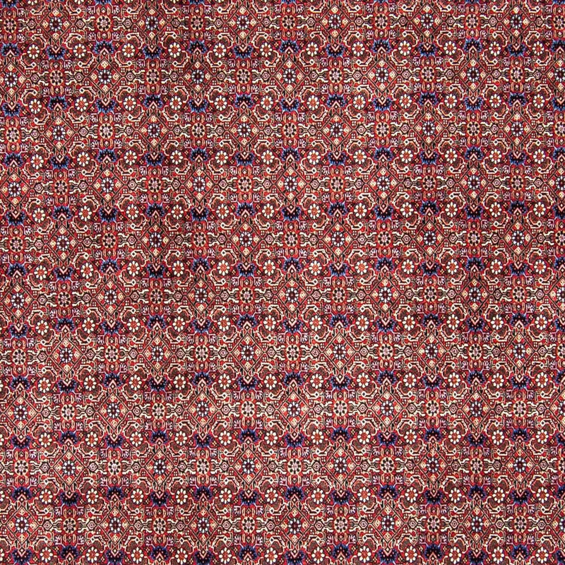 Bidjar Teppich 250x292cm - Perserteppich - hellrot