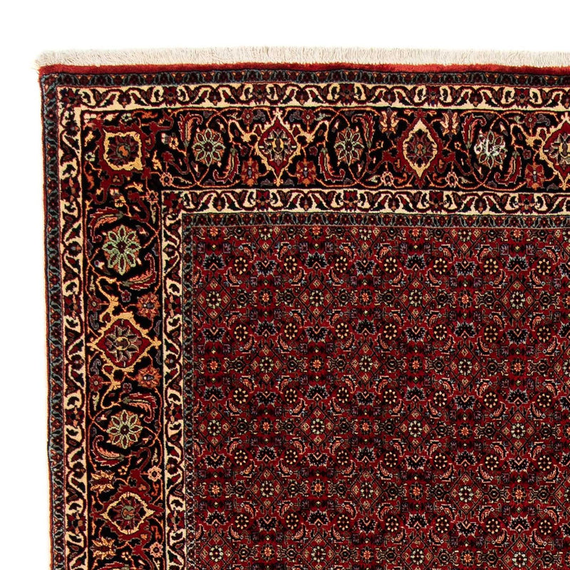 Bidjar Teppich 200x246cm - Perserteppich - dunkelrot