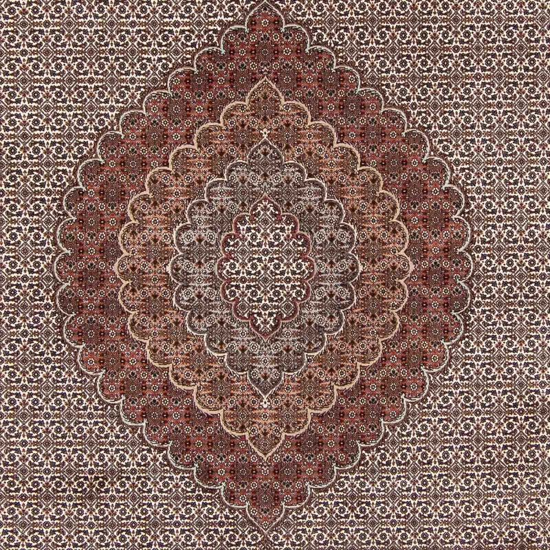 Täbriz - 50 Raj Teppich 253x348cm - Perserteppich - hellbraun