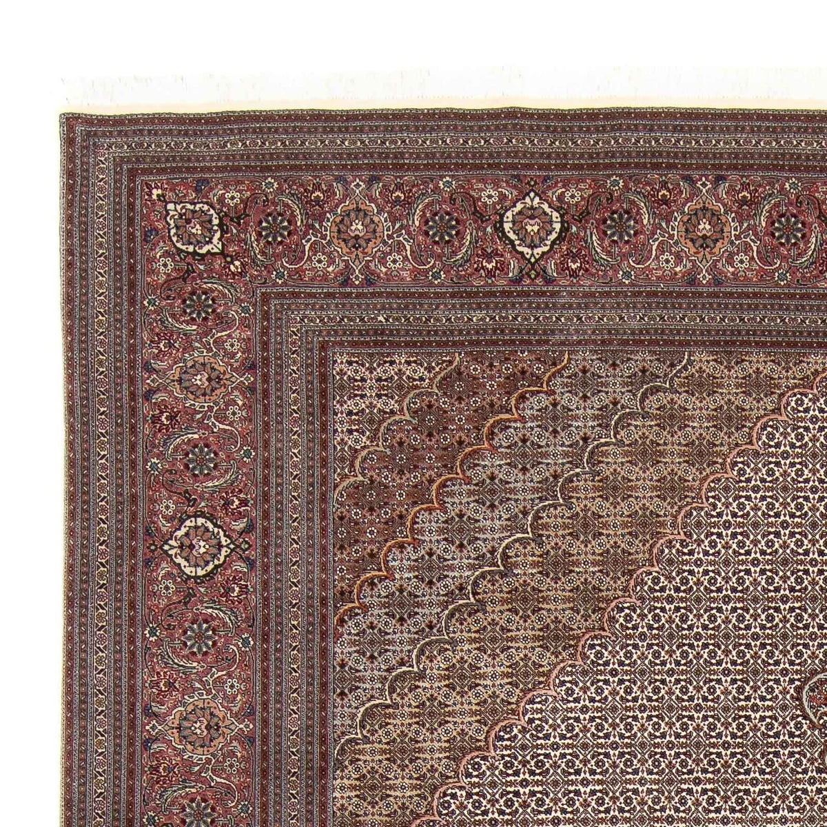 Täbriz - 50 Raj Teppich 253x348cm - Perserteppich - hellbraun
