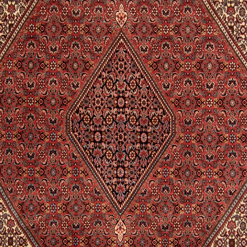 Bidjar Teppich 250x343cm - Perserteppich - dunkelrot