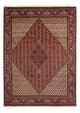 Bidjar Teppich 252x340cm - Perserteppich - braun