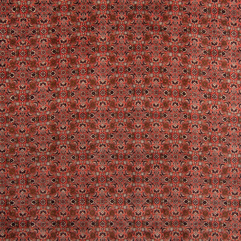 Bidjar Teppich 248x357cm - Perserteppich - dunkelrot
