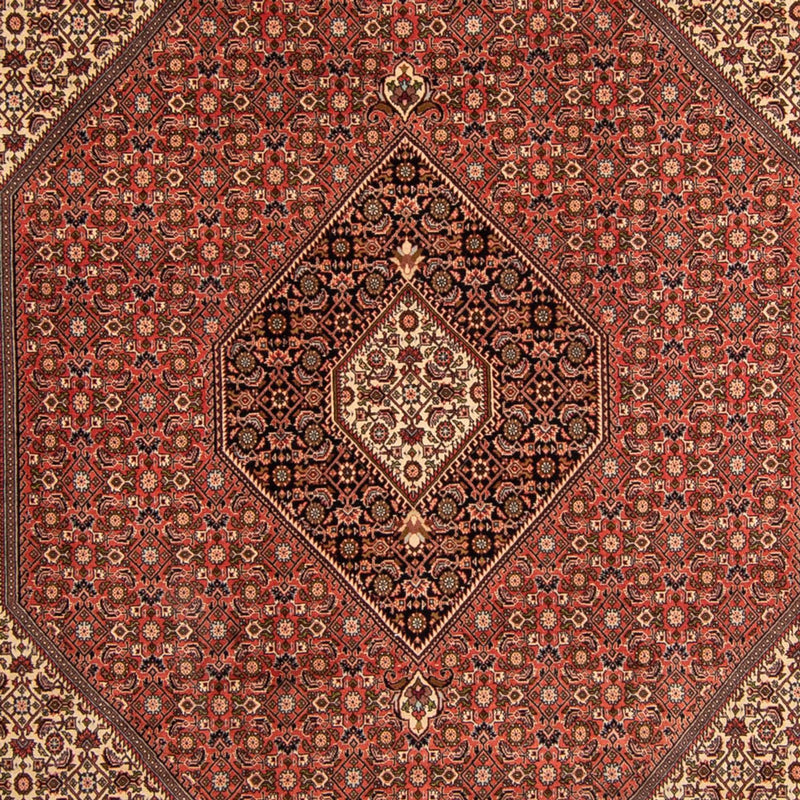 Bidjar Teppich 250x343cm - Perserteppich - braun