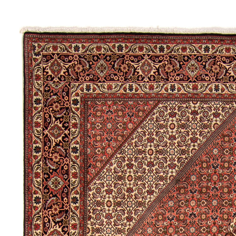 Bidjar Teppich 250x343cm - Perserteppich - braun