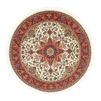 Täbriz - 50 Raj Teppich 148x148cm - Perserteppich - beige – product image