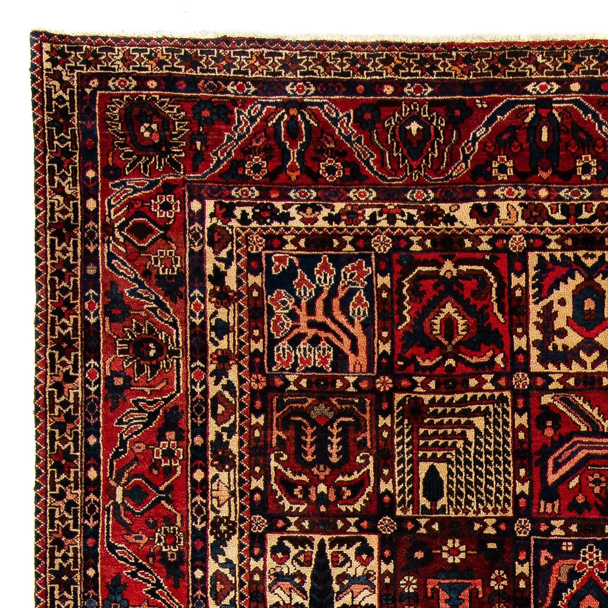 Bachtiar Teppich 305x374cm - Perserteppich - mehrfarbig