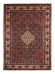 Bidjar Teppich 243x348cm - Perserteppich - braun
