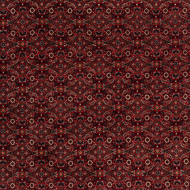 Bidjar Teppich 205x212cm - Perserteppich