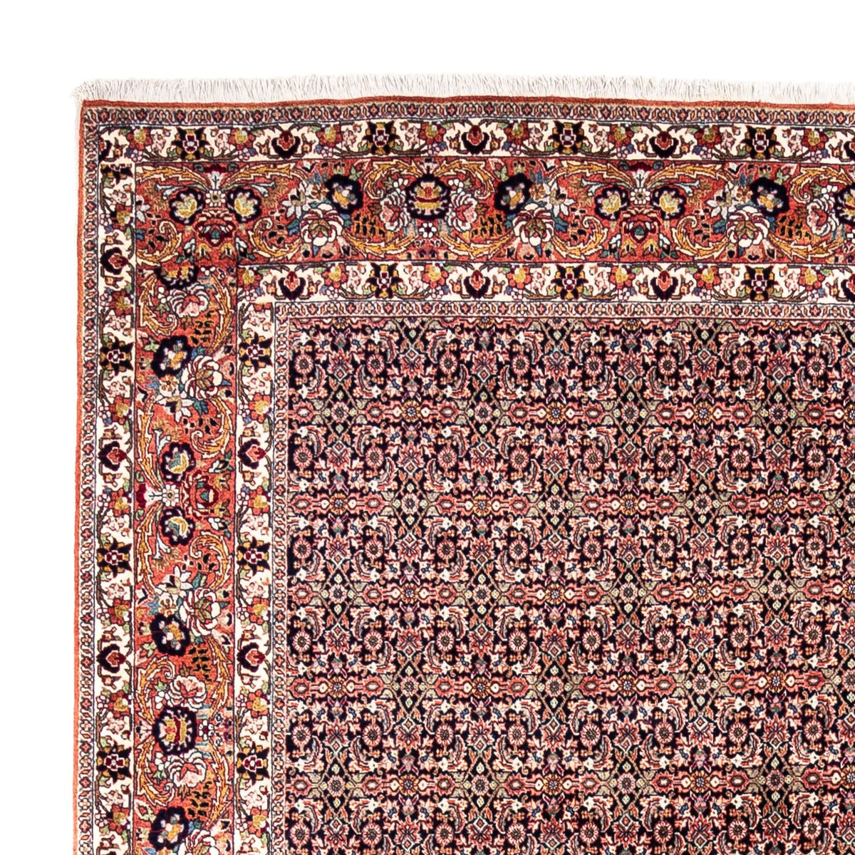 Perserteppich - Bidjar - Royal 248 x 332 cm - rost