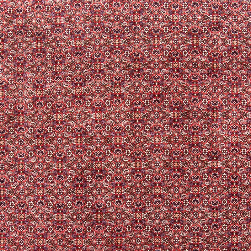 Bidjar Teppich 251x343cm - Perserteppich - hellrot