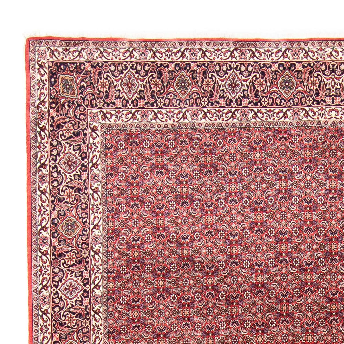 Bidjar Teppich 251x343cm - Perserteppich - hellrot