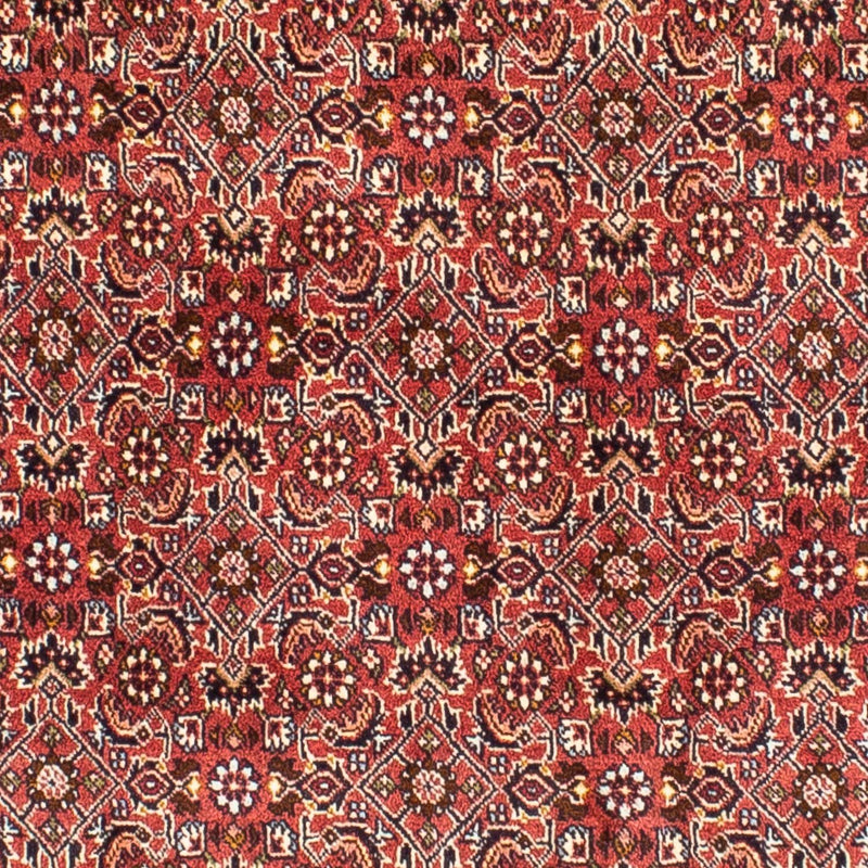 Bidjar Teppich 190x197cm - Perserteppich