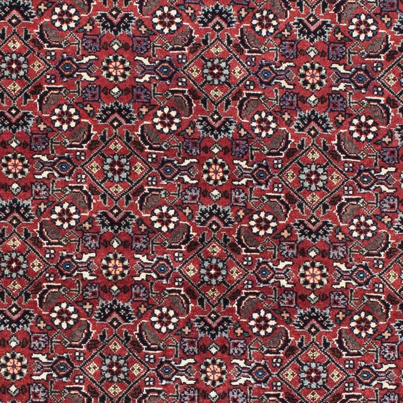 Bidjar Teppich 176x193cm - Perserteppich - rot