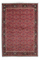 Bidjar - Zanjan Teppich 140x206cm - Perserteppich