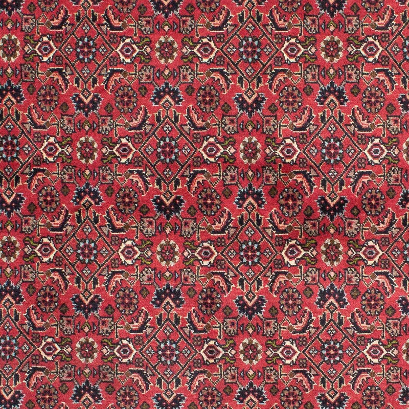 Bidjar - Zanjan Teppich 140x206cm - Perserteppich