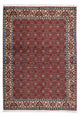 Bidjar - Zanjan Teppich 137x193cm - Perserteppich - rot