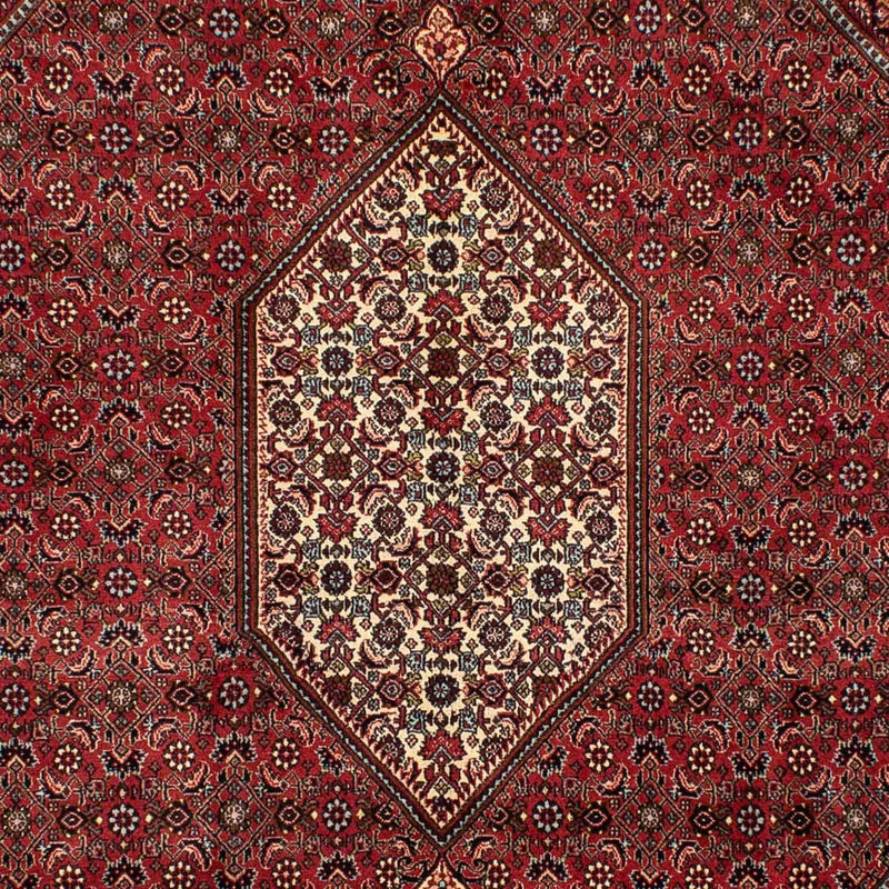 Bidjar Teppich 204x282cm - Perserteppich