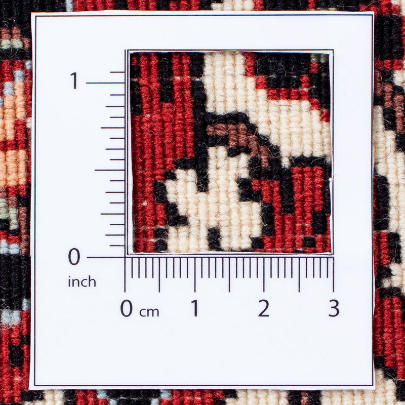 Bidjar Teppich 251x295cm - Perserteppich