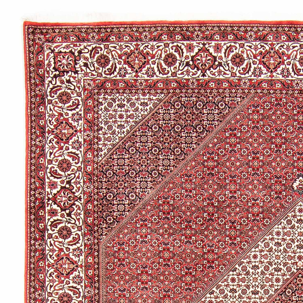 Bidjar Teppich 256x312cm - Perserteppich - hellrot