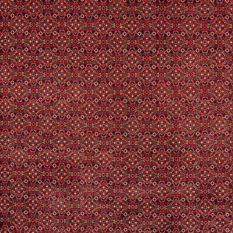 Bidjar Teppich 308x400cm - Perserteppich
