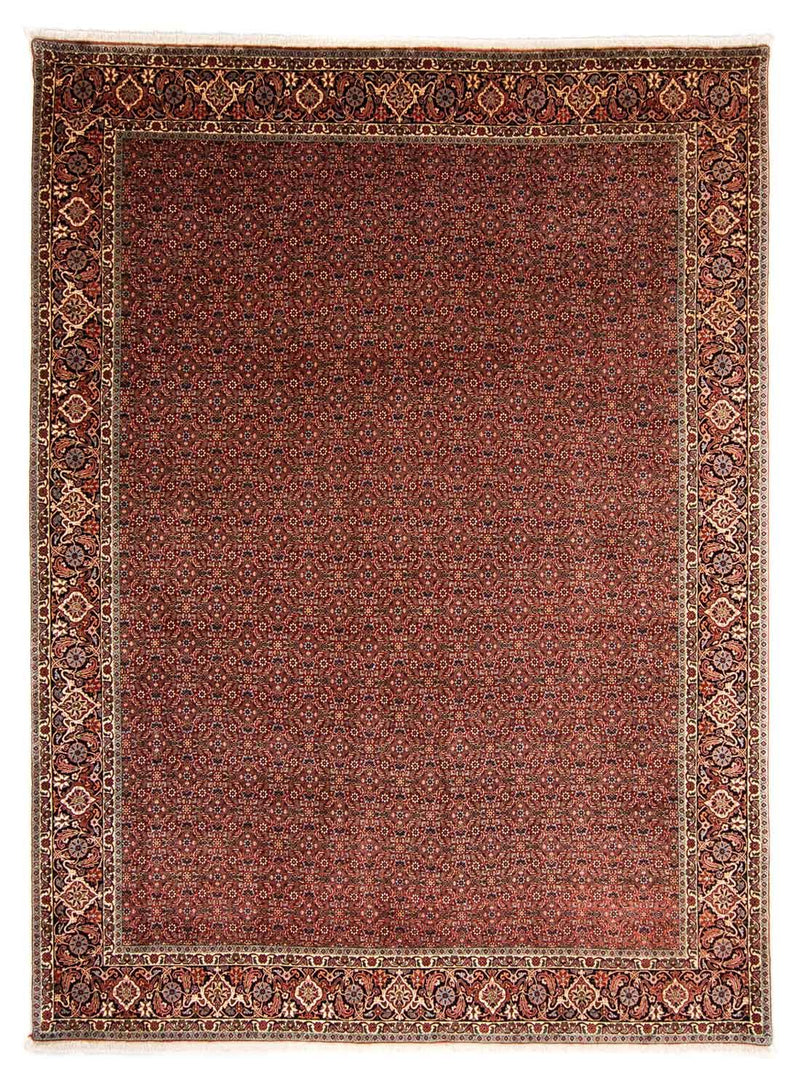 Bidjar Teppich 254x340cm - Perserteppich