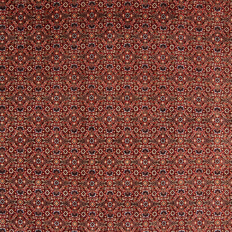 Bidjar Teppich 254x340cm - Perserteppich