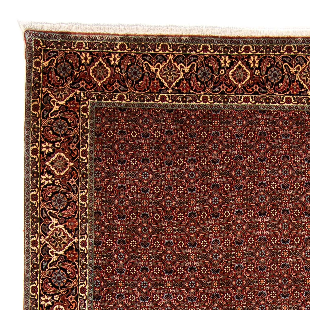 Bidjar Teppich 254x340cm - Perserteppich