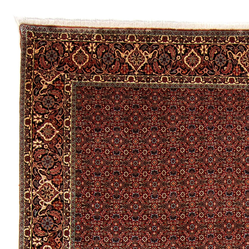 Bidjar Teppich 254x340cm - Perserteppich