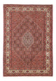 Bidjar Teppich 171x246cm - Perserteppich - hellrot