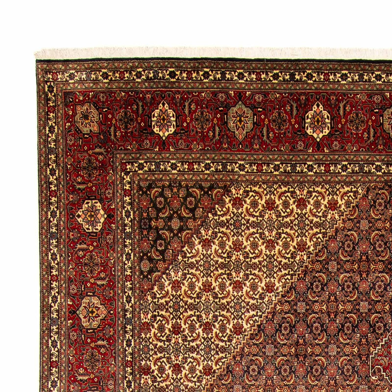 Täbriz Teppich 300x395cm - Perserteppich - braun