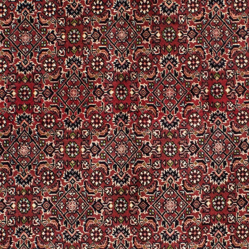 Bidjar - Zanjan Teppich 139x208cm - Perserteppich - rot
