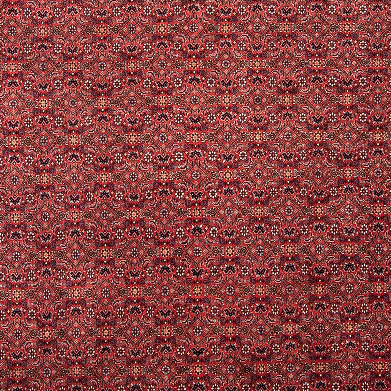 Bidjar Teppich 250x296cm - Perserteppich - dunkelrot