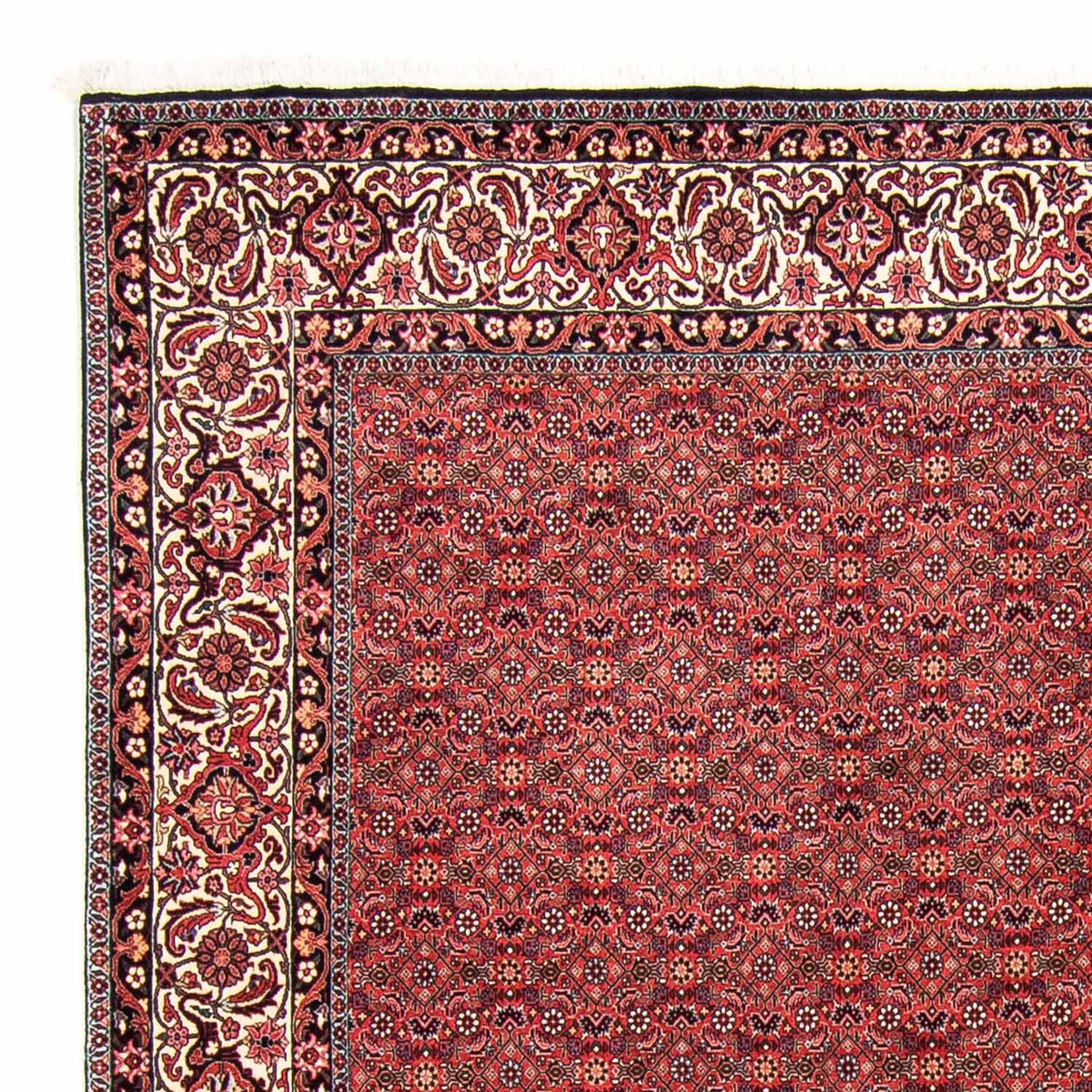 Bidjar Teppich 250x296cm - Perserteppich - dunkelrot