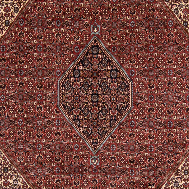 Bidjar Teppich 250x342cm - Perserteppich - braun