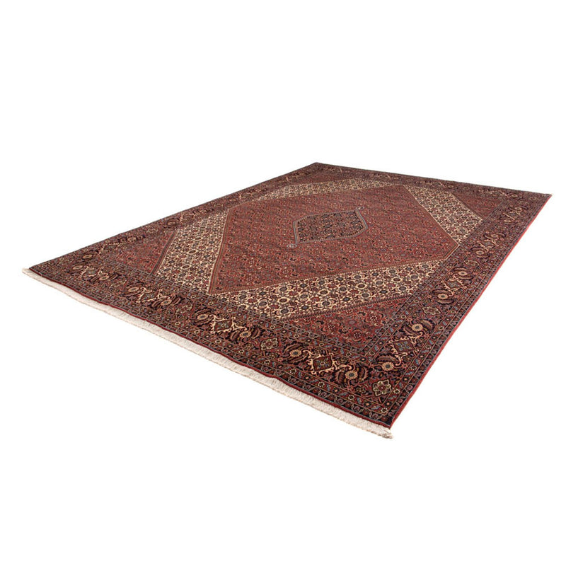 Bidjar Teppich 250x342cm - Perserteppich - braun