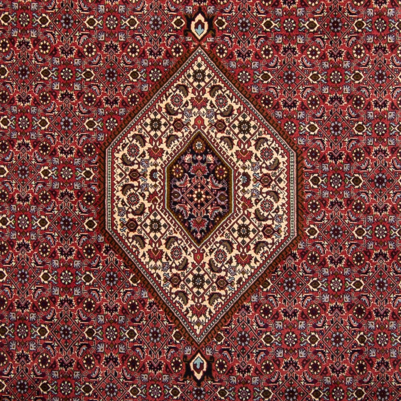 Bidjar Teppich 250x338cm - Perserteppich - braun