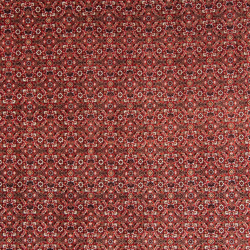 Bidjar Teppich 246x330cm - Perserteppich - rot