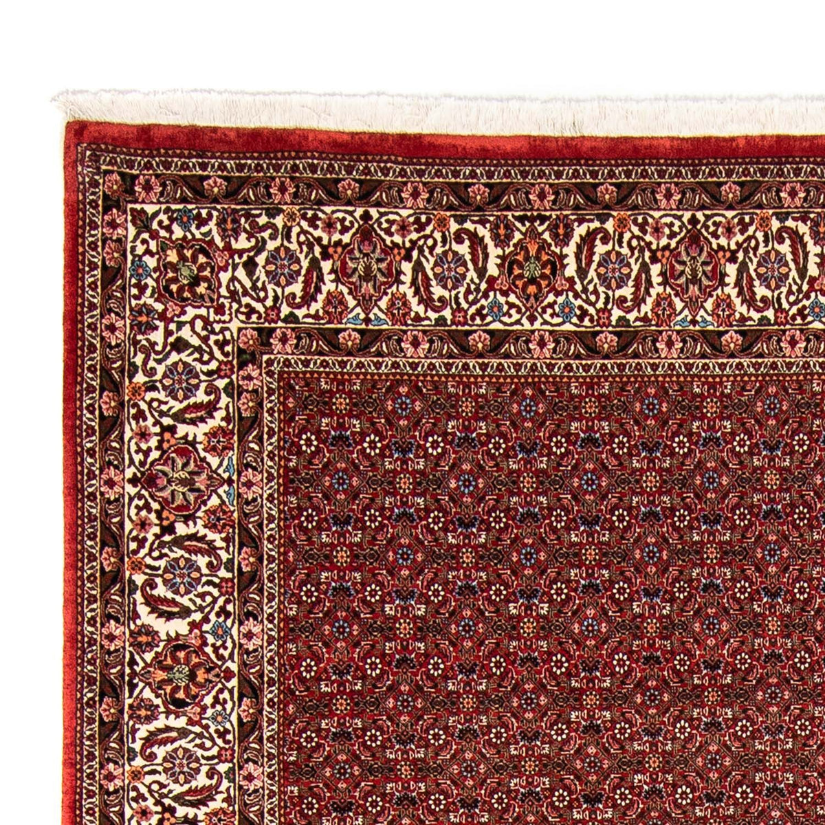 Bidjar Teppich 246x330cm - Perserteppich - rot