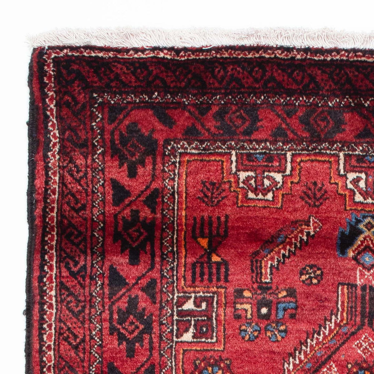 Belutsch Teppich 86x172cm - Orientteppich - rot