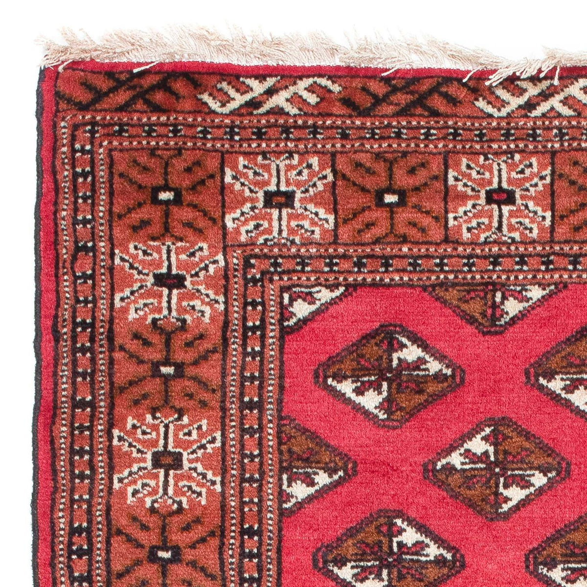 Belutsch Teppich 87x136cm - Orientteppich - rot