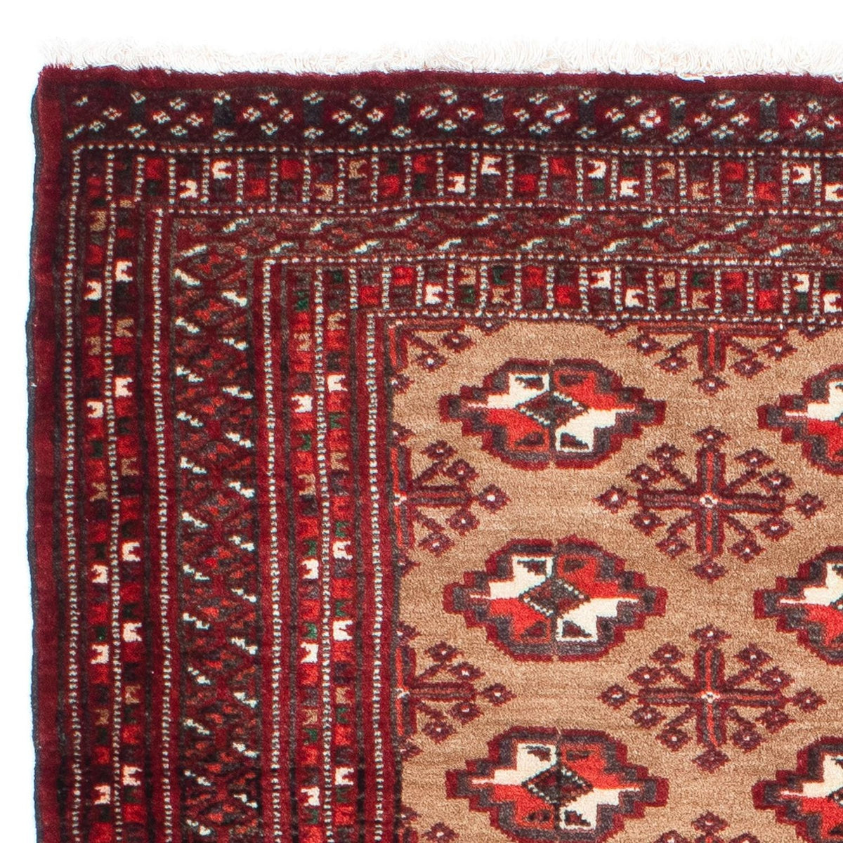 Belutsch Teppich 98x154cm - Orientteppich - braun