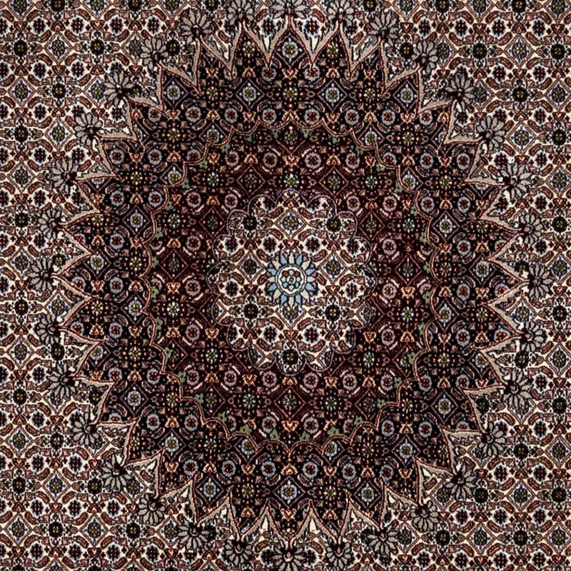 Moud Teppich 245x350cm - Perserteppich - beige
