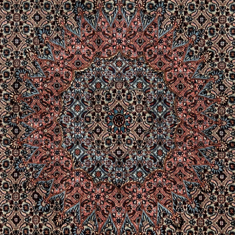 Perserteppich - Classic 252 x 347 cm - hellchoco