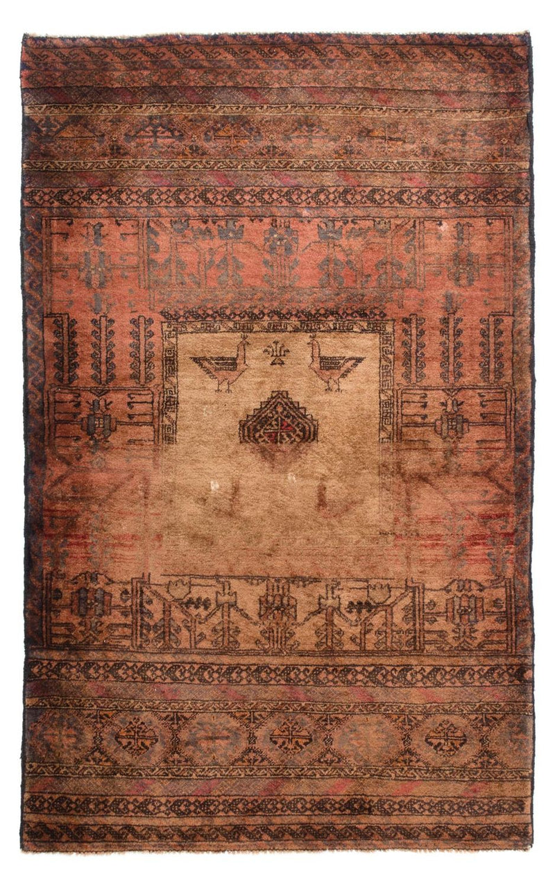 Belutsch Teppich 105x172cm - Orientteppich
