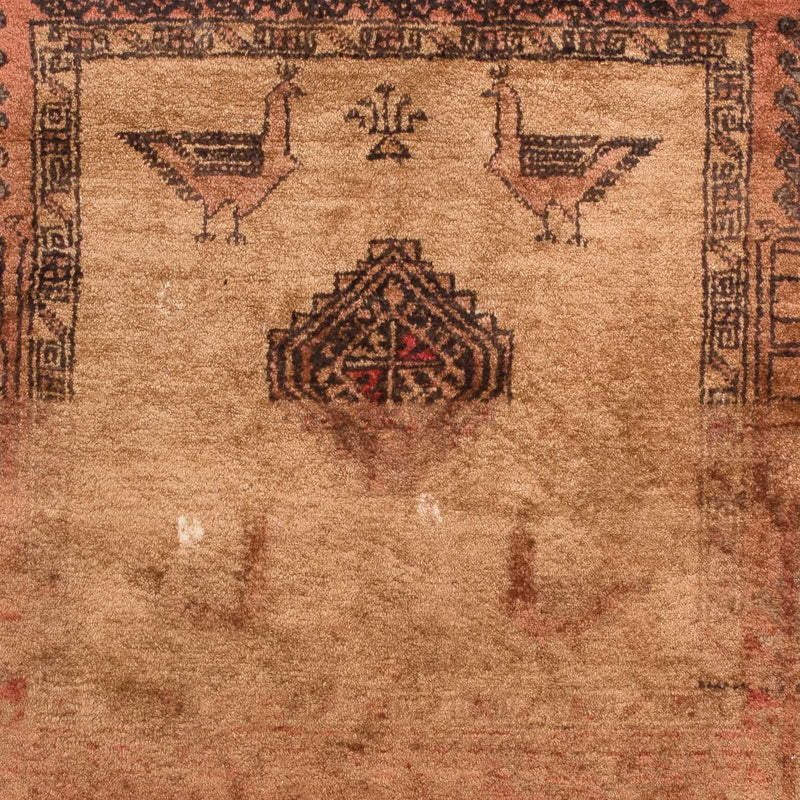 Belutsch Teppich 105x172cm - Orientteppich